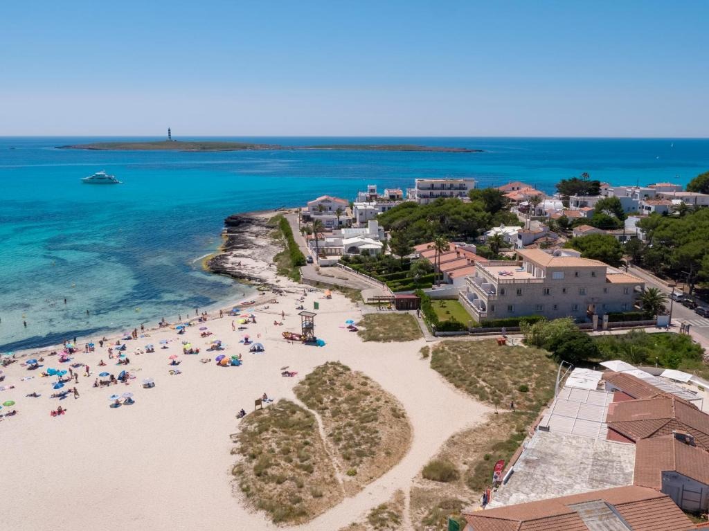 Comitas Isla del Aire